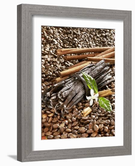 Coffee Beans, Vanilla Pods and Cinnamon Sticks-Karl Newedel-Framed Photographic Print