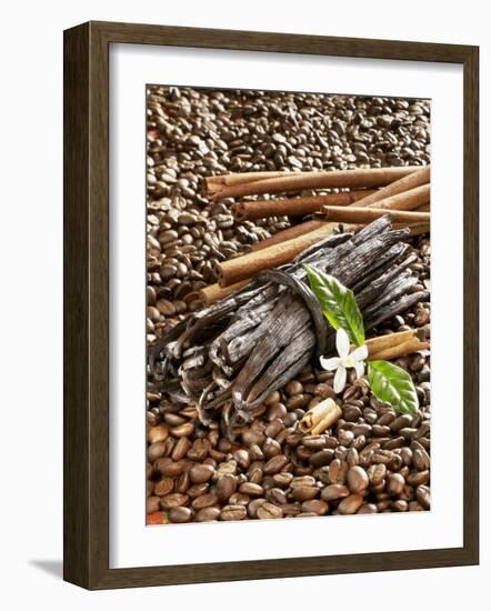 Coffee Beans, Vanilla Pods and Cinnamon Sticks-Karl Newedel-Framed Photographic Print