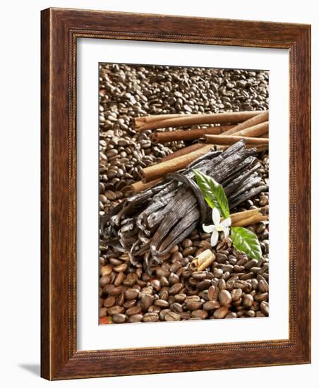 Coffee Beans, Vanilla Pods and Cinnamon Sticks-Karl Newedel-Framed Photographic Print