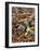 Coffee Beans, Vanilla Pods and Cinnamon Sticks-Karl Newedel-Framed Photographic Print