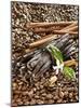 Coffee Beans, Vanilla Pods and Cinnamon Sticks-Karl Newedel-Mounted Photographic Print