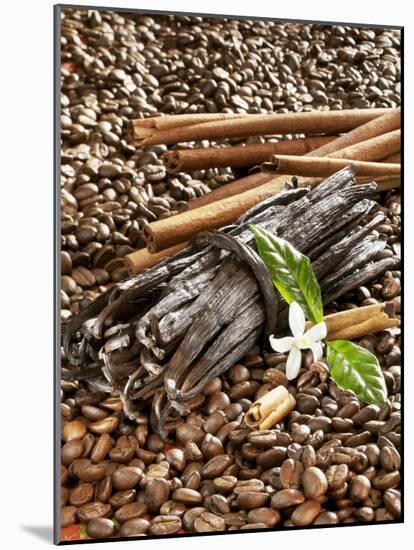 Coffee Beans, Vanilla Pods and Cinnamon Sticks-Karl Newedel-Mounted Photographic Print