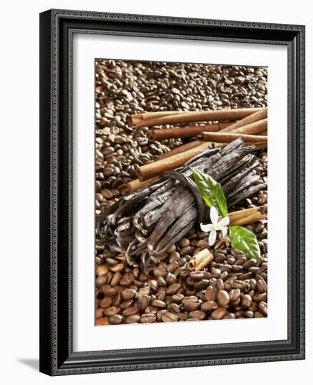 Coffee Beans, Vanilla Pods and Cinnamon Sticks-Karl Newedel-Framed Photographic Print