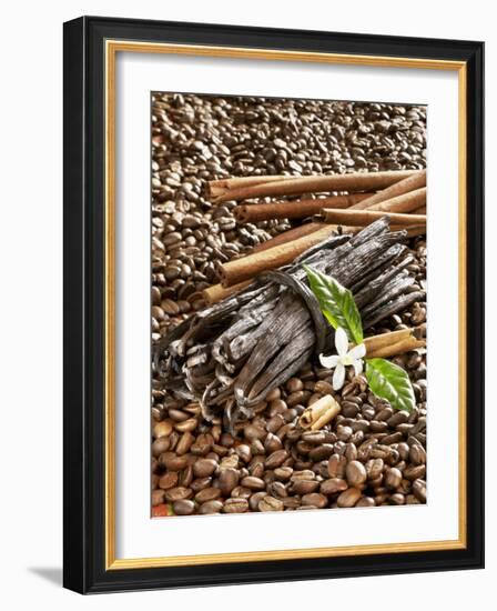 Coffee Beans, Vanilla Pods and Cinnamon Sticks-Karl Newedel-Framed Photographic Print