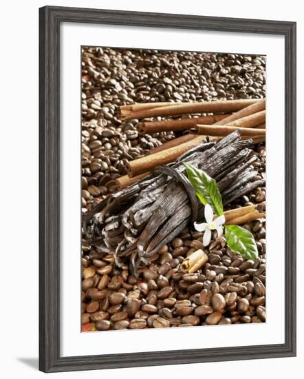 Coffee Beans, Vanilla Pods and Cinnamon Sticks-Karl Newedel-Framed Photographic Print