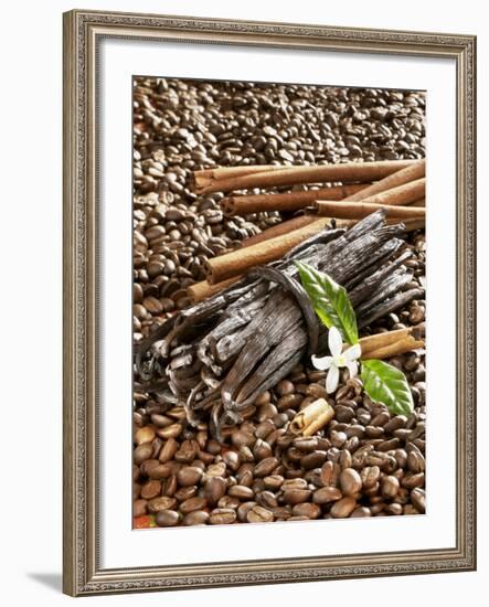 Coffee Beans, Vanilla Pods and Cinnamon Sticks-Karl Newedel-Framed Photographic Print