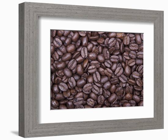 Coffee Beans, Washington, USA-Jamie & Judy Wild-Framed Photographic Print