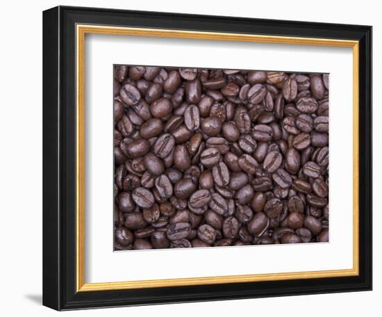 Coffee Beans, Washington, USA-Jamie & Judy Wild-Framed Photographic Print