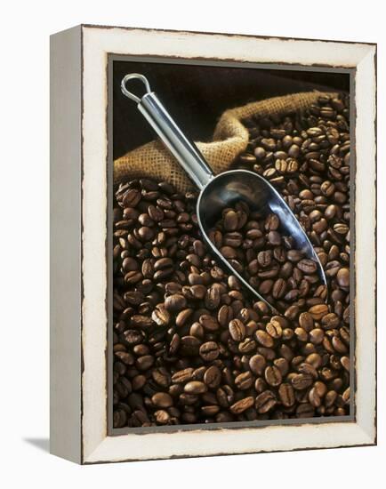 Coffee Beans with Metal Scoop in Sack-Vladimir Shulevsky-Framed Premier Image Canvas