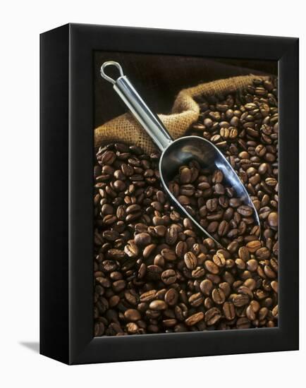 Coffee Beans with Metal Scoop in Sack-Vladimir Shulevsky-Framed Premier Image Canvas