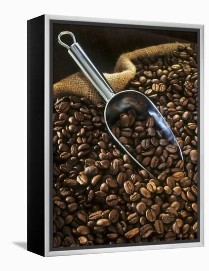 Coffee Beans with Metal Scoop in Sack-Vladimir Shulevsky-Framed Premier Image Canvas