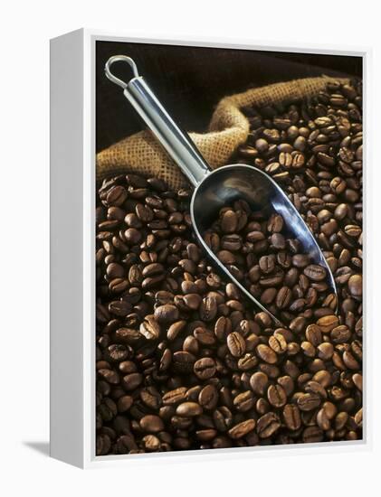 Coffee Beans with Metal Scoop in Sack-Vladimir Shulevsky-Framed Premier Image Canvas