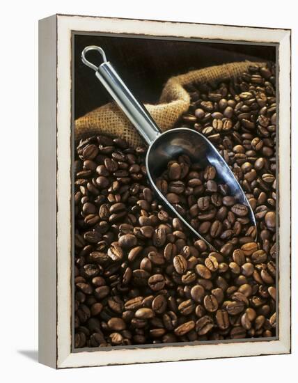 Coffee Beans with Metal Scoop in Sack-Vladimir Shulevsky-Framed Premier Image Canvas