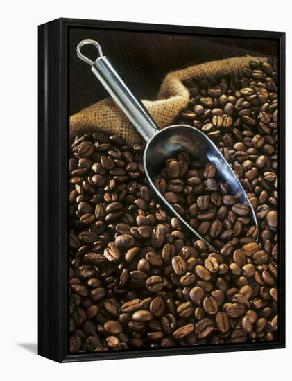 Coffee Beans with Metal Scoop in Sack-Vladimir Shulevsky-Framed Premier Image Canvas