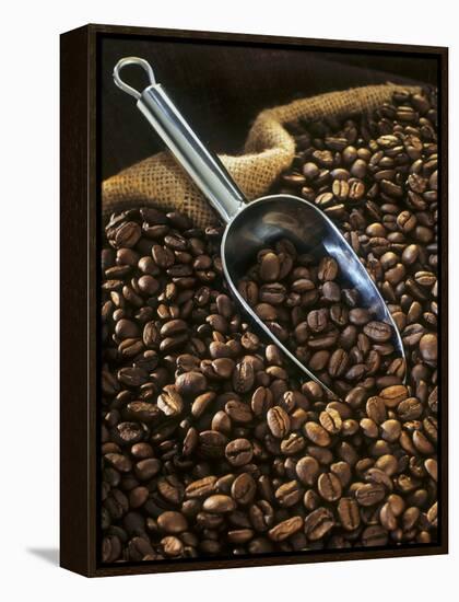 Coffee Beans with Metal Scoop in Sack-Vladimir Shulevsky-Framed Premier Image Canvas