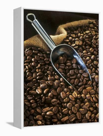 Coffee Beans with Metal Scoop in Sack-Vladimir Shulevsky-Framed Premier Image Canvas