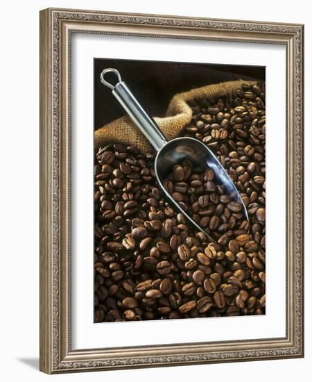 Coffee Beans with Metal Scoop in Sack-Vladimir Shulevsky-Framed Photographic Print