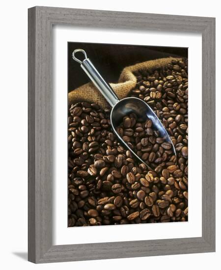 Coffee Beans with Metal Scoop in Sack-Vladimir Shulevsky-Framed Photographic Print