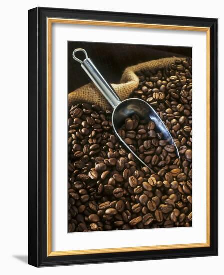 Coffee Beans with Metal Scoop in Sack-Vladimir Shulevsky-Framed Photographic Print