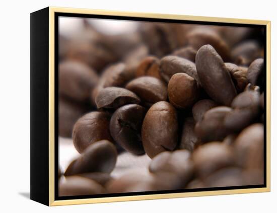 Coffee Beans-Gustavo Andrade-Framed Premier Image Canvas