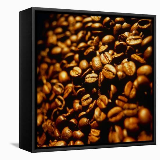 Coffee Beans-Tek Image-Framed Premier Image Canvas