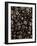 Coffee Beans-Stephen Pennells-Framed Photographic Print