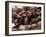 Coffee Beans-Gustavo Andrade-Framed Photographic Print