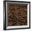 Coffee Beans-Alexander Feig-Framed Photographic Print