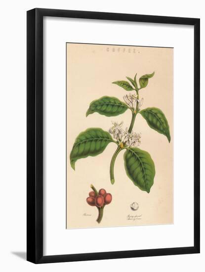 'Coffee', c19th century-Unknown-Framed Giclee Print