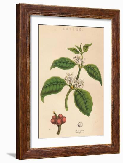 'Coffee', c19th century-Unknown-Framed Giclee Print