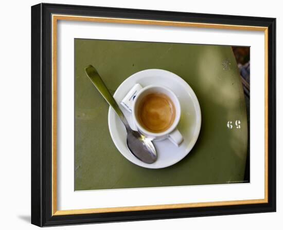 Coffee Cup, Luxemburg Gardens, Paris, France-Michele Molinari-Framed Photographic Print