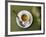 Coffee Cup, Luxemburg Gardens, Paris, France-Michele Molinari-Framed Photographic Print