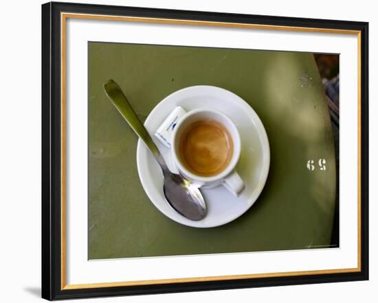 Coffee Cup, Luxemburg Gardens, Paris, France-Michele Molinari-Framed Photographic Print