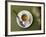 Coffee Cup, Luxemburg Gardens, Paris, France-Michele Molinari-Framed Photographic Print