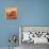 Coffee Cups-Robbin Rawlings-Premium Giclee Print displayed on a wall