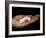 Coffee Flower Is Held Delciately in the Palm of a Sao Tomense Hand, Sao Tome-Camilla Watson-Framed Photographic Print