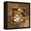 Coffee III-Gregory Gorham-Framed Stretched Canvas