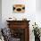 Coffee Morning II-Teo Tarras-Giclee Print displayed on a wall