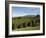 Coffee Plantations on the Slopes of the Poas Volcano, Near San Jose, Costa Rica, Central America-R H Productions-Framed Photographic Print