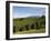 Coffee Plantations on the Slopes of the Poas Volcano, Near San Jose, Costa Rica, Central America-R H Productions-Framed Photographic Print