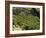 Coffee Plantations on the Slopes of the Poas Volcano, Near San Jose, Costa Rica, Central America-R H Productions-Framed Photographic Print