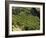 Coffee Plantations on the Slopes of the Poas Volcano, Near San Jose, Costa Rica, Central America-R H Productions-Framed Photographic Print