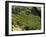 Coffee Plantations on the Slopes of the Poas Volcano, Near San Jose, Costa Rica, Central America-R H Productions-Framed Photographic Print