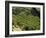 Coffee Plantations on the Slopes of the Poas Volcano, Near San Jose, Costa Rica, Central America-R H Productions-Framed Photographic Print