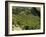 Coffee Plantations on the Slopes of the Poas Volcano, Near San Jose, Costa Rica, Central America-R H Productions-Framed Photographic Print