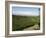 Coffee Plantations on the Slopes of the Poas Volcano, Near San Jose, Costa Rica, Central America-R H Productions-Framed Photographic Print