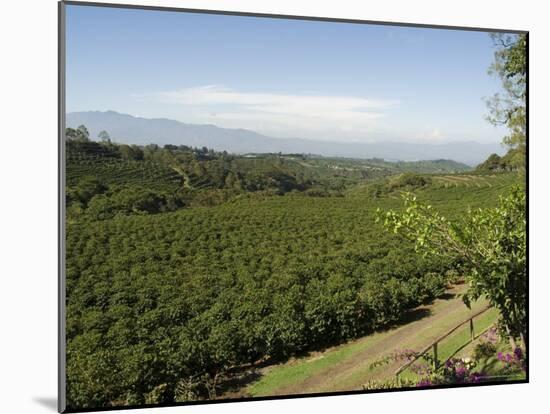 Coffee Plantations on the Slopes of the Poas Volcano, Near San Jose, Costa Rica, Central America-R H Productions-Mounted Photographic Print