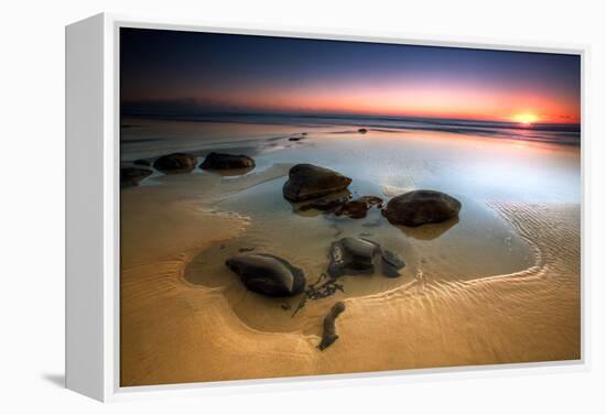 Coffee Rocks-Mel Brackstone-Framed Premier Image Canvas