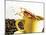 Coffee Spilling Out of a Cup-Dieter Heinemann-Mounted Photographic Print