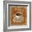 Coffee Time VI-Silvia Vassileva-Framed Art Print